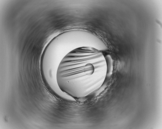 X0000098150148200805081049