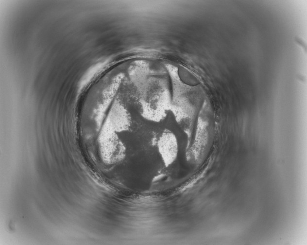 X0000098150149200805081049