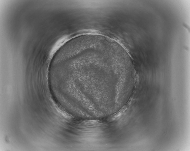 X0000098150151200805081049