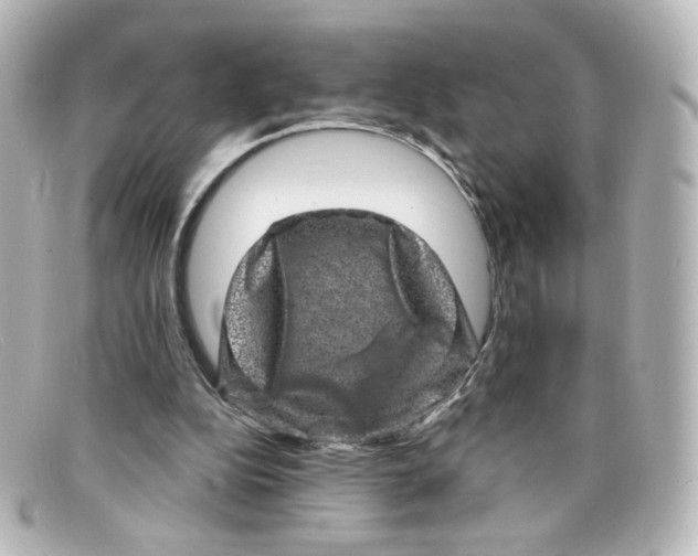 X0000098150152200805081049