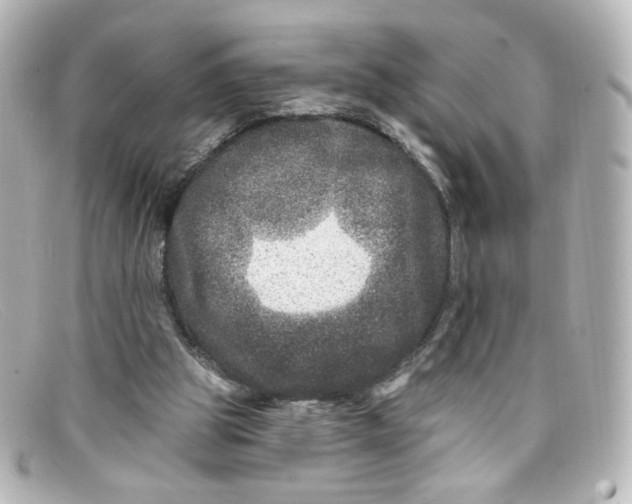 X0000098150153200805081049