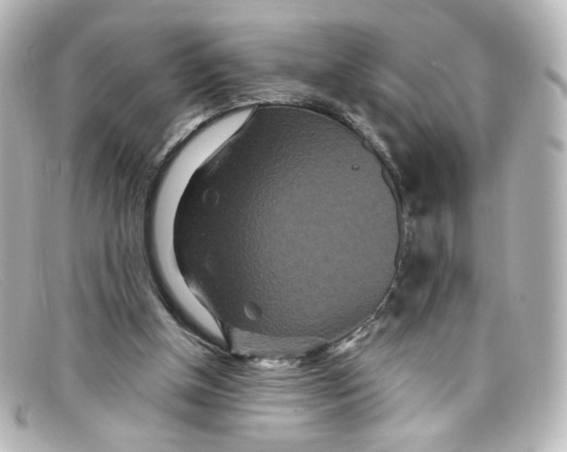 X0000098150154200805081049