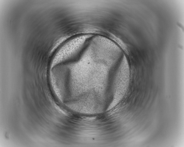 X0000098150155200805081049