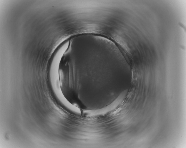 X0000098150156200805081049