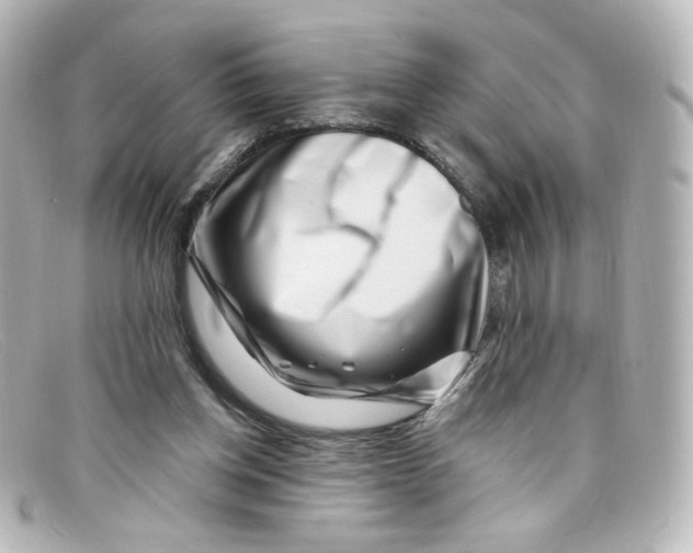 X0000098150158200805081049
