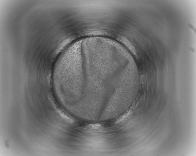 X0000098150159200805081049