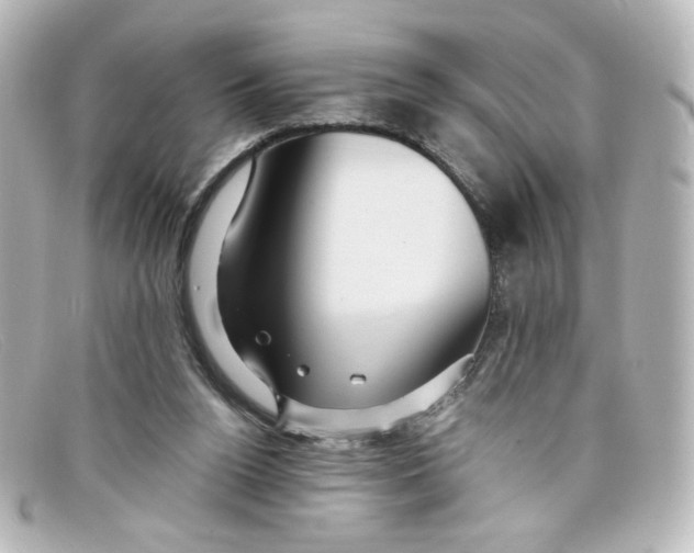 X0000098150160200805081049