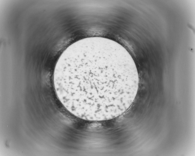 X0000098150162200805081049