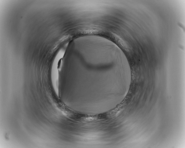 X0000098150163200805081049