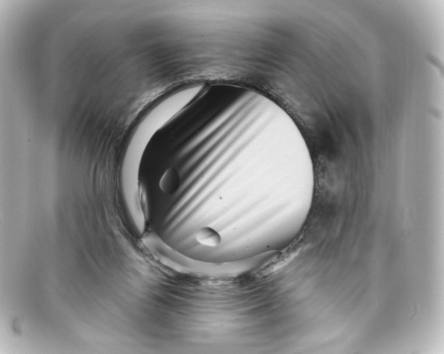 X0000098150164200805081049