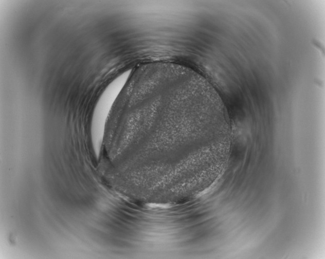X0000098150170200805081050
