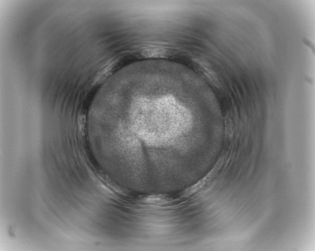 X0000098150171200805081050