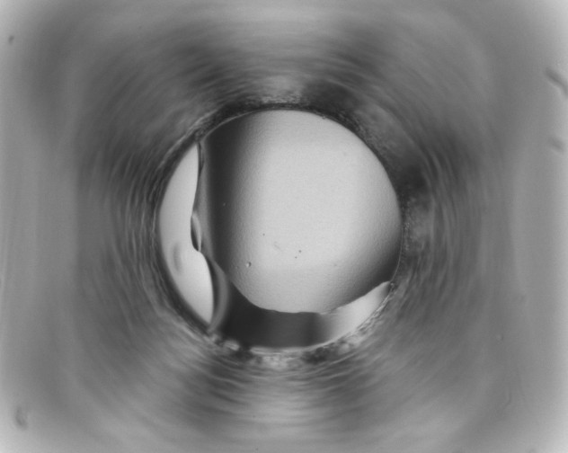 X0000098150172200805081050