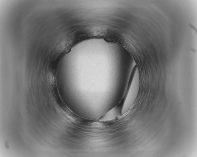 X0000098150176200805081050