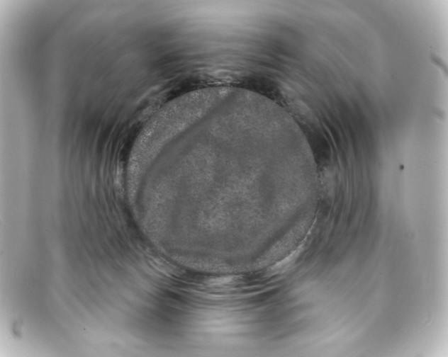 X0000098150178200805081050