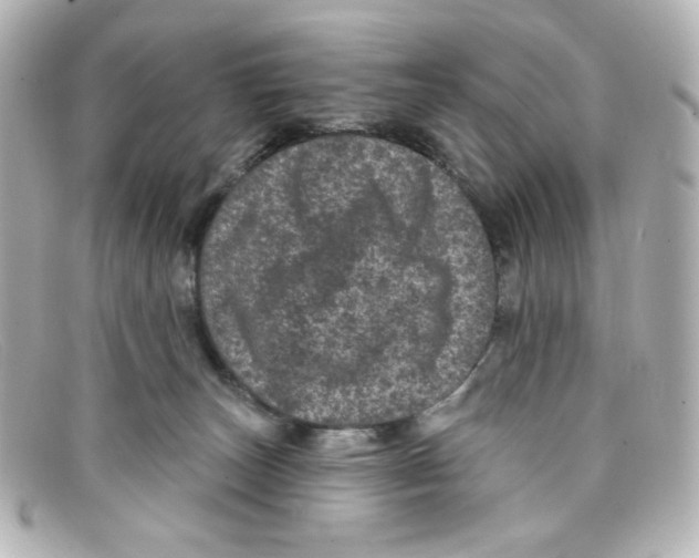 X0000098150179200805081050