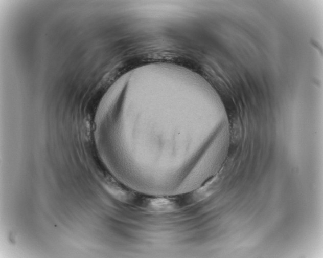X0000098150183200805081050