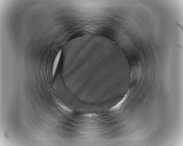 X0000098150186200805081050