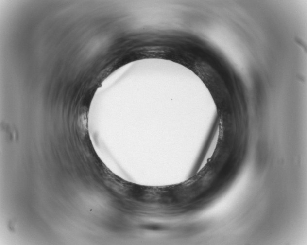 X0000098150190200805081050