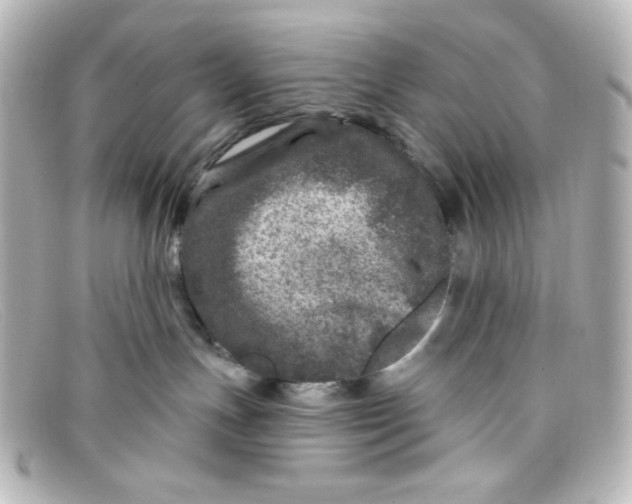 X0000098150191200805081050