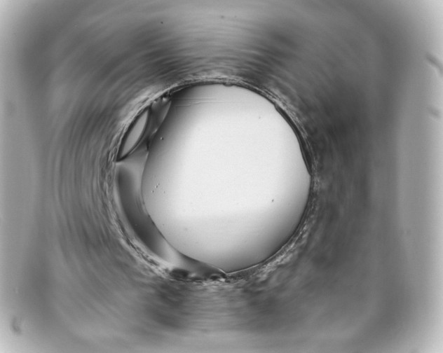 X0000098150193200805081049