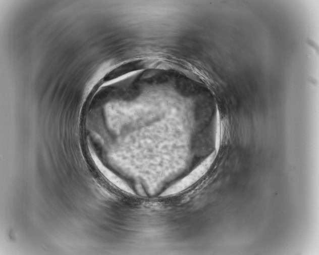 X0000098150195200805081049