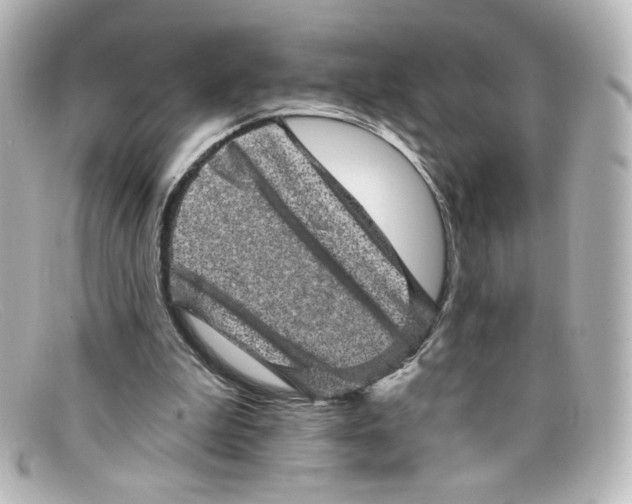 X0000098150199200805081049