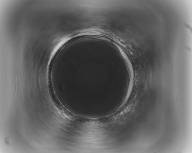 X0000098150200200805081049