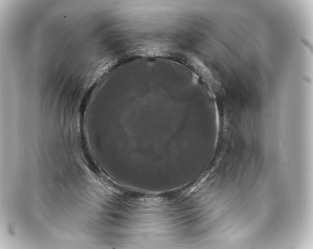 X0000098150202200805081049