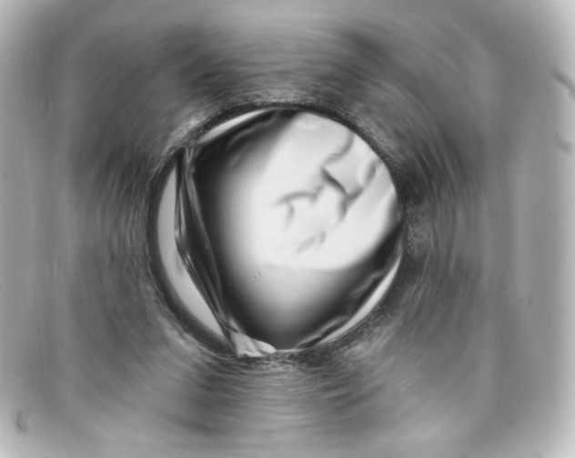 X0000098150207200805081049
