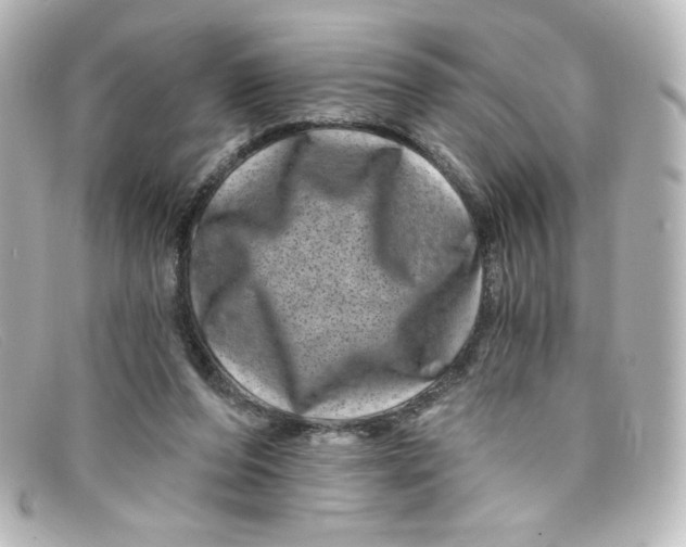 X0000098150208200805081049