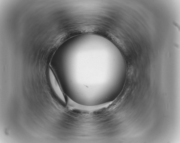 X0000098150209200805081049