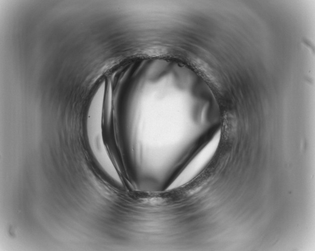 X0000098150212200805081049
