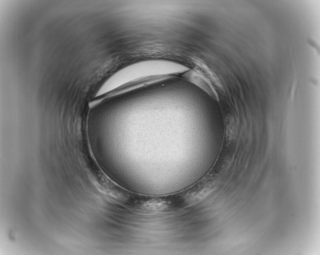 X0000098150213200805081049