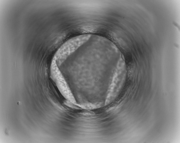 X0000098150215200805081049