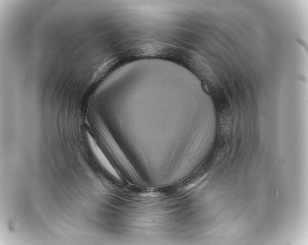 X0000098150216200805081049