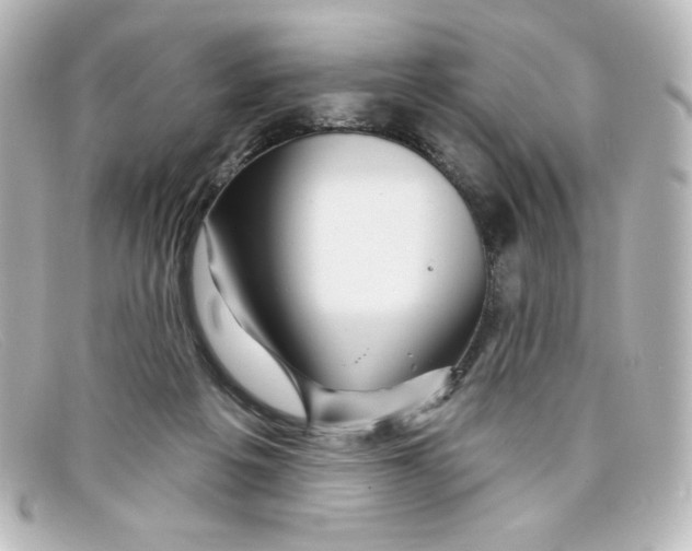 X0000098150217200805081049
