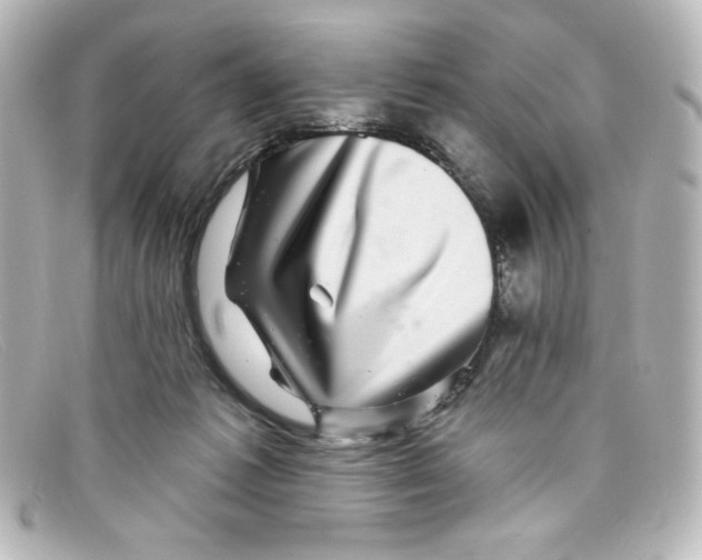X0000098150221200805081049