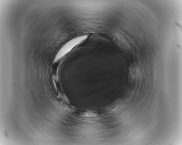 X0000098150223200805081049