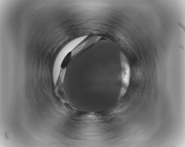 X0000098150224200805081049