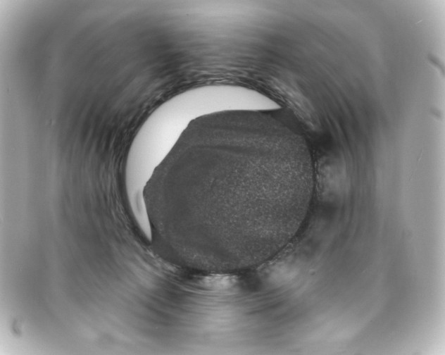 X0000098150225200805081049