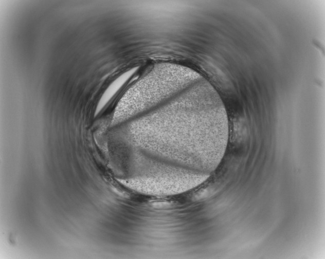 X0000098150228200805081049