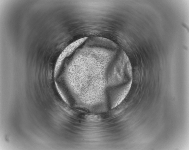 X0000098150230200805081049