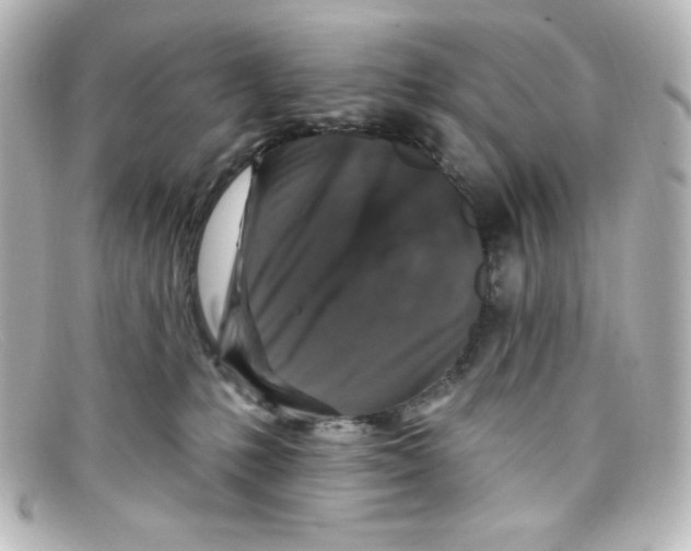 X0000098150231200805081049