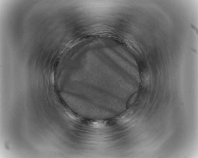 X0000098150232200805081049