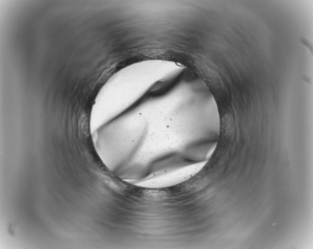 X0000098150234200805081049