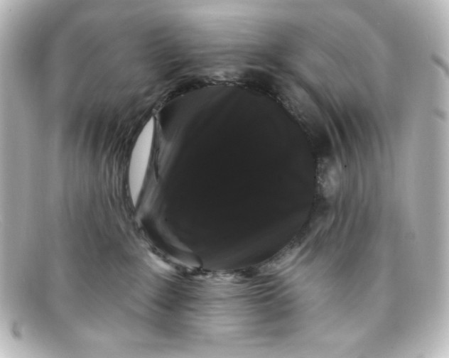 X0000098150235200805081049