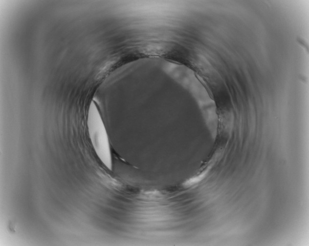 X0000098150237200805081049
