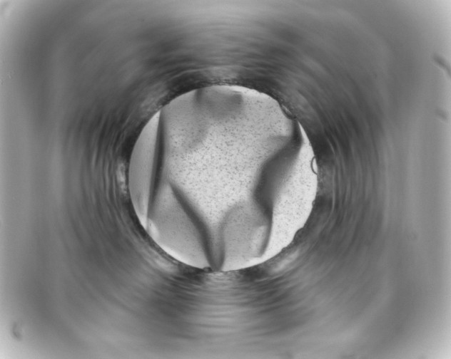 X0000098150238200805081049