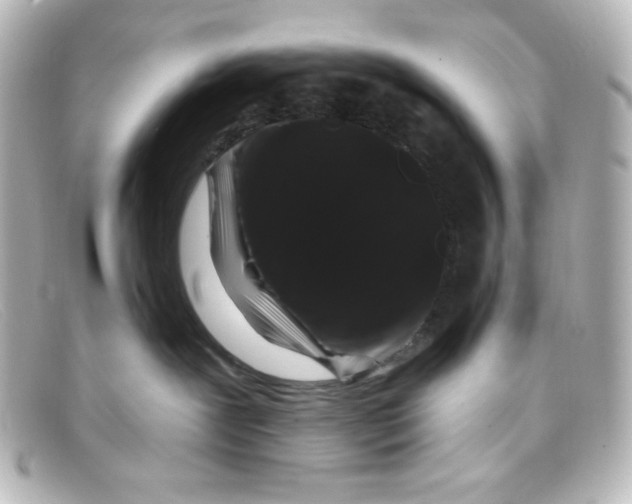 X0000098150239200805081048